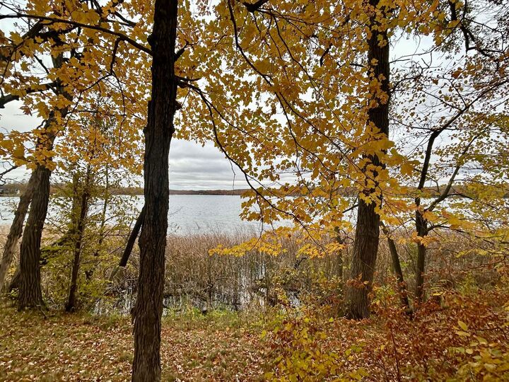 Property Photo: Tbd E Lake Lizzie Road MN 56572