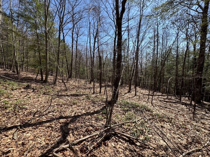 Property Photo:  544 Fox Hill Rd (Vacant Land)  MA 01337