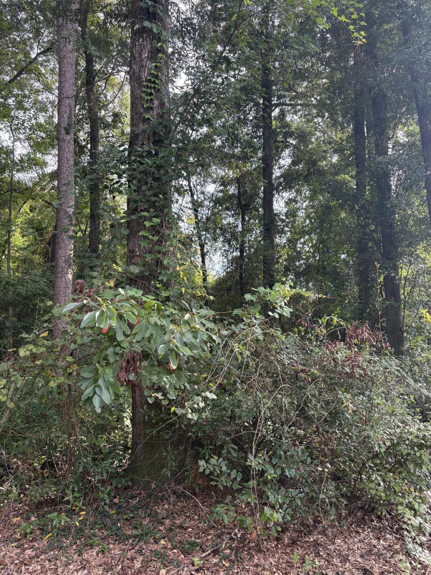 Property Photo:  2905 Ithica Drive  SC 29154 