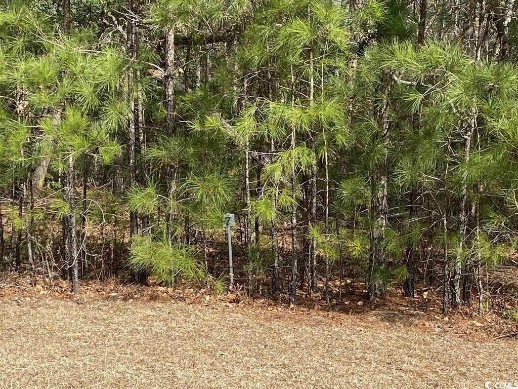 Property Photo:  634 McCown Dr.  SC 29526 