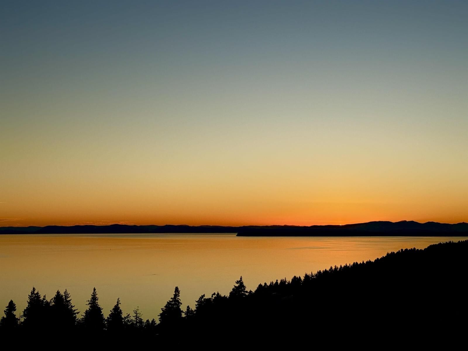 Property Photo:  1501 Foster Street 1804  BC V4B 0C3 