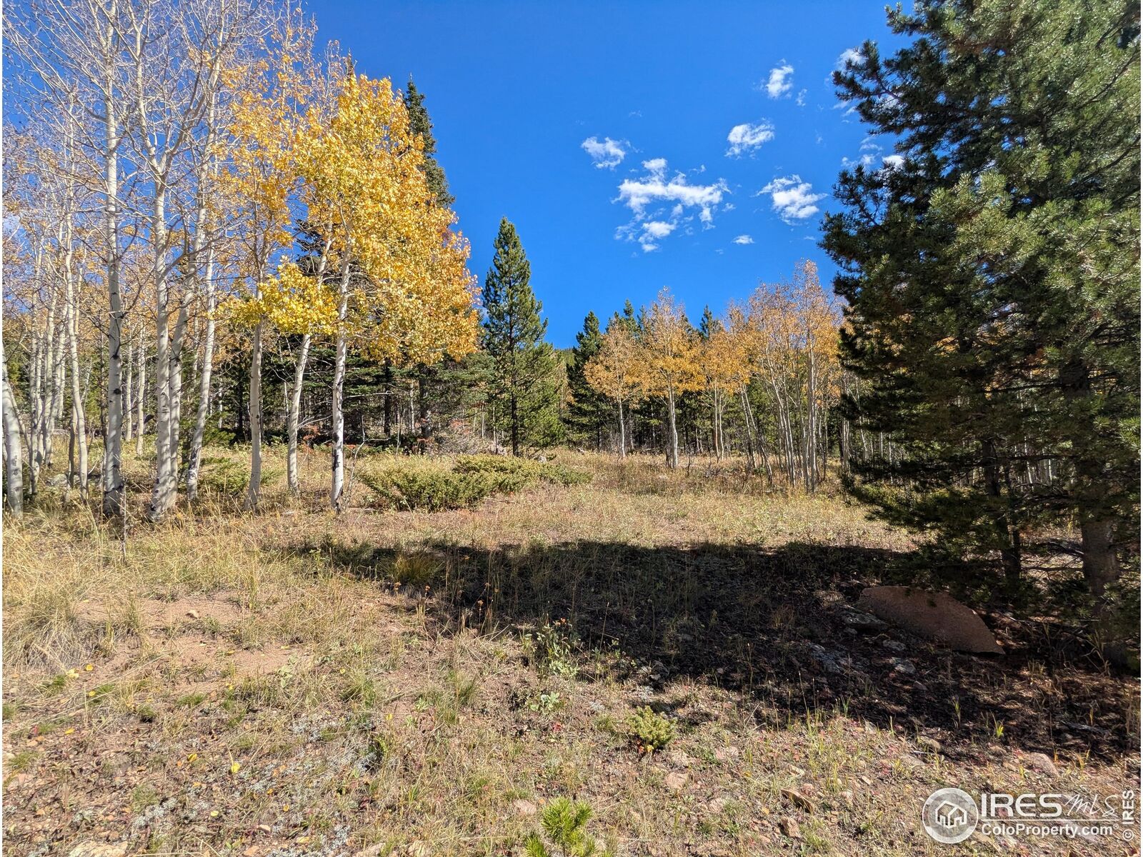 Property Photo:  11 Bear Gulch Rd  CO 80545 