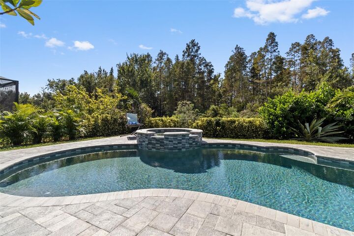 Property Photo:  30362 Ceasar Park Drive  FL 33543 