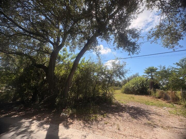 Property Photo:  2603 Goldwyn Drive  FL 33570