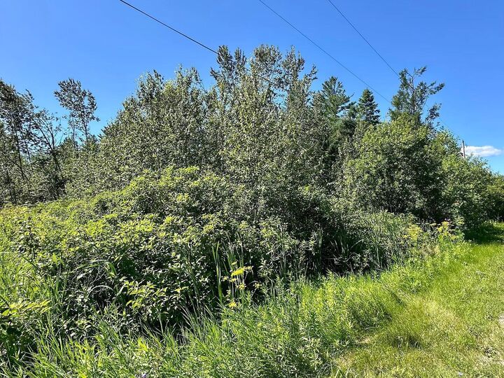 Property Photo:  14371 Stoney Pointe Road  MI 49721