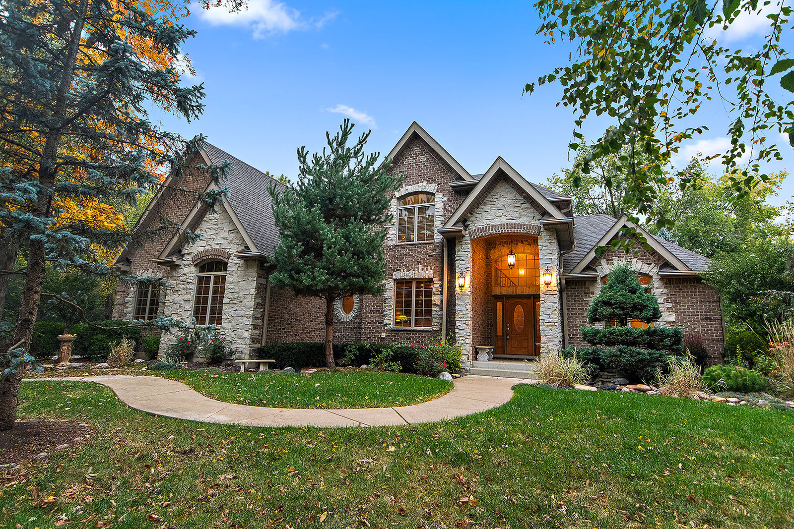 Property Photo:  209 Linden Oaks Lane  IL 60451
