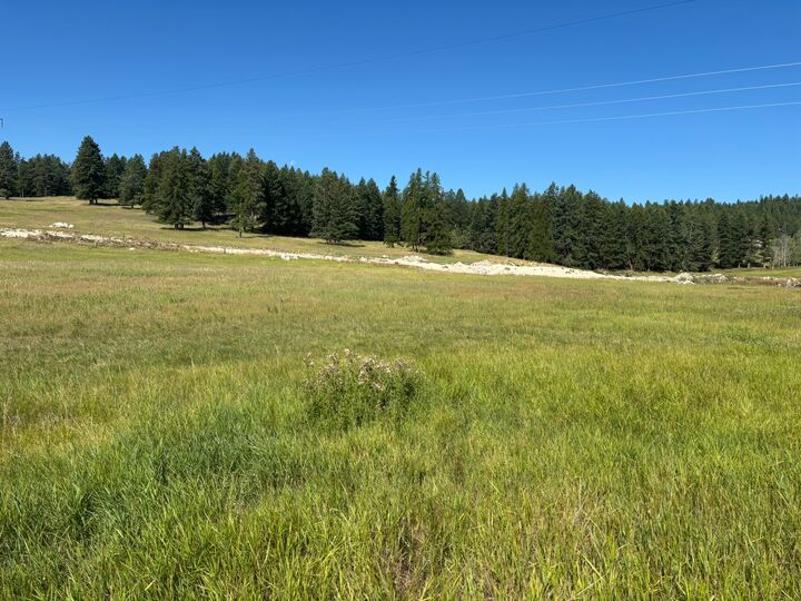 Property Photo:  691 Morning View Drive  MT 59901 