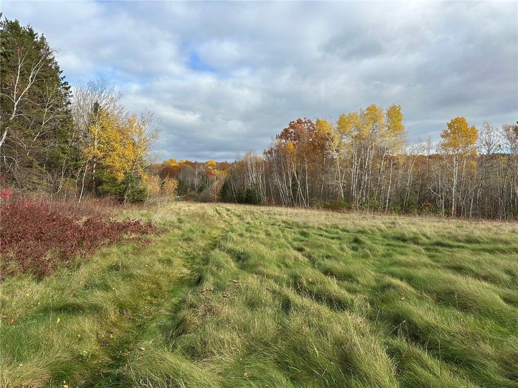 Property Photo:  Lot 36 Hatchery Road  WI 54843