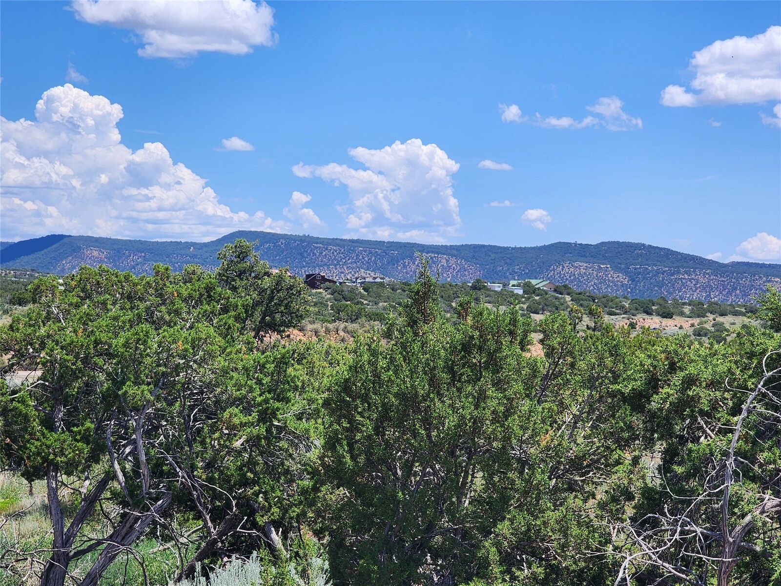 Property Photo: 4 Goathead Ct NM 87508