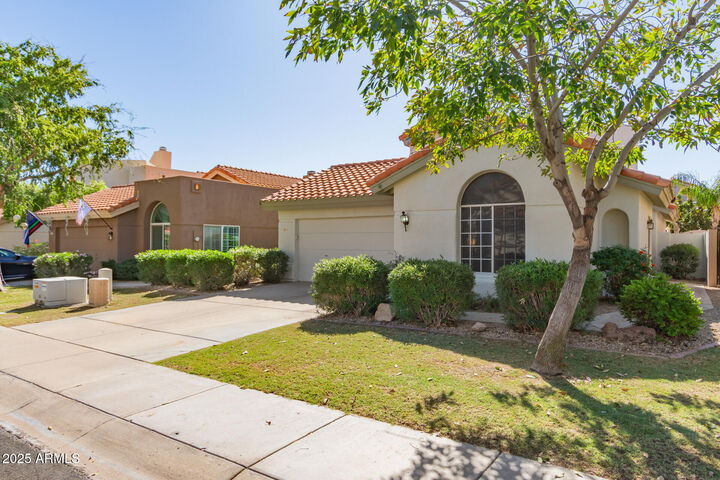 3221 E Briarwood Terrace  Phoenix AZ 85048 photo