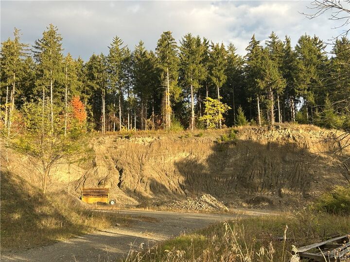 Property Photo:  Mills Road Road  NY 14865 