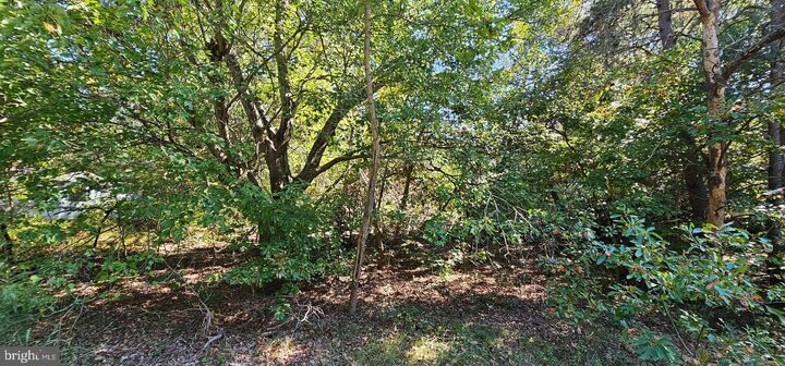 Property Photo:  Lot 13 14 Coverdale Road  DE 19933