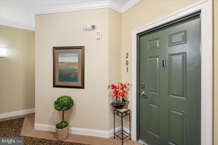 Property Photo:  601 Quicksilver Court 203  MD 21136