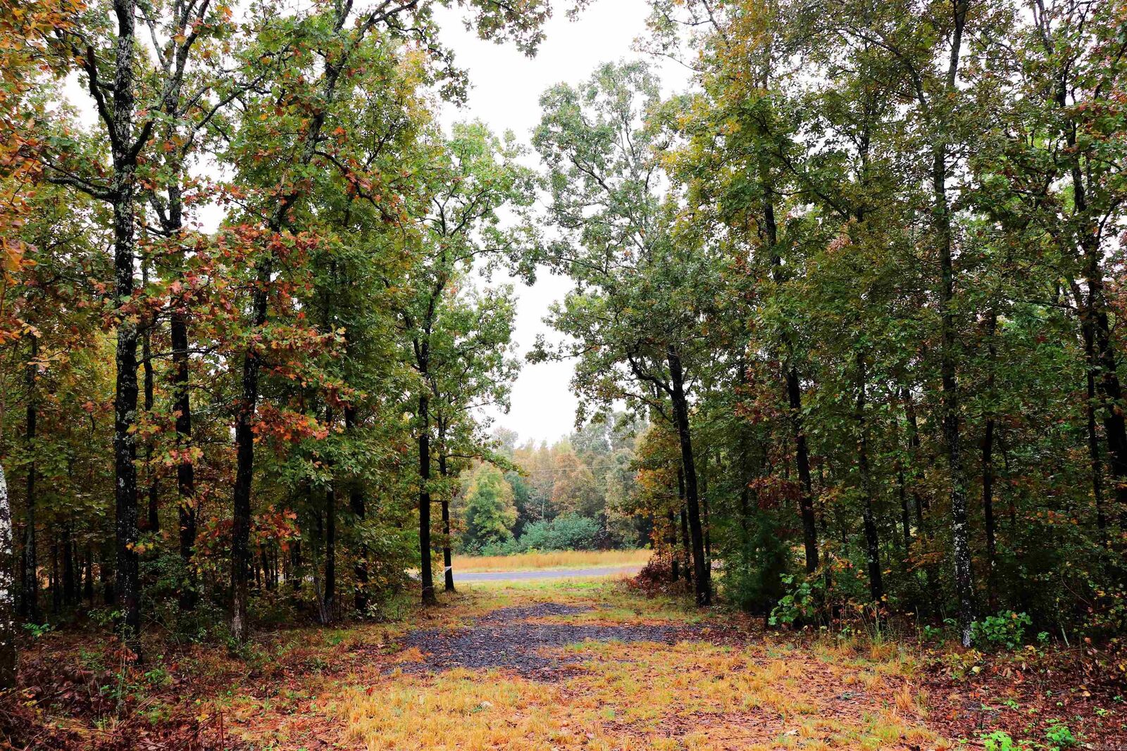 Property Photo:  00 Calvary Road  AR 72032