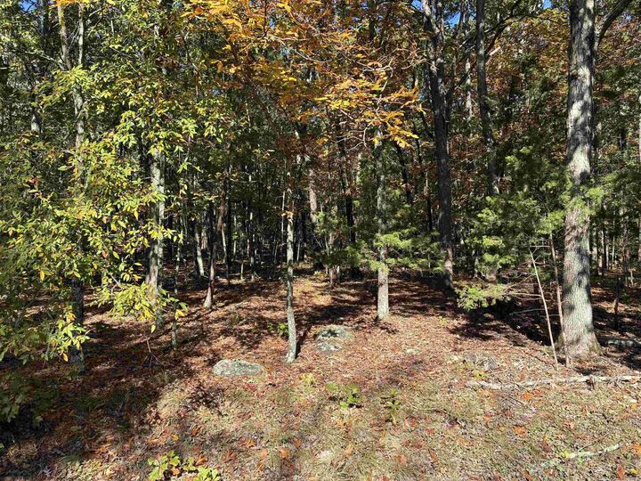 Property Photo: 00 Dunlop Road AR 72088