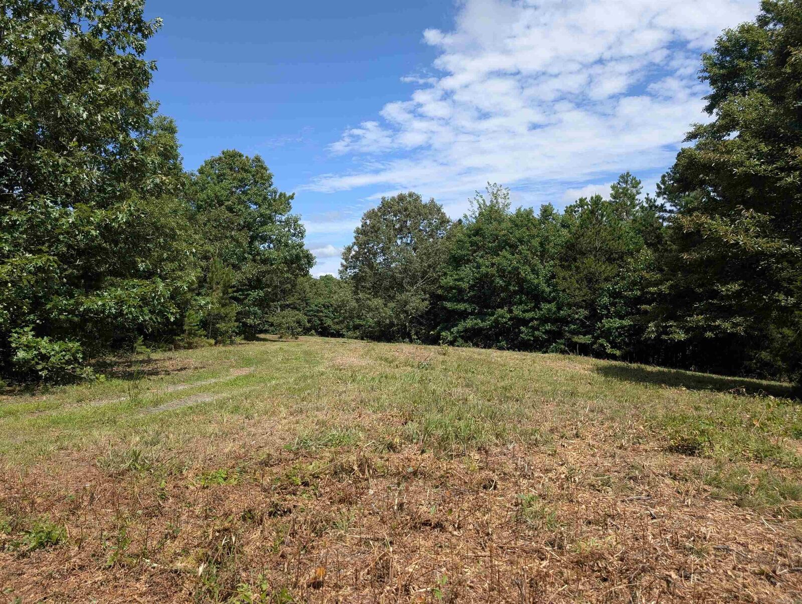 Property Photo:  Unk Fs Road 521  AR 71953 