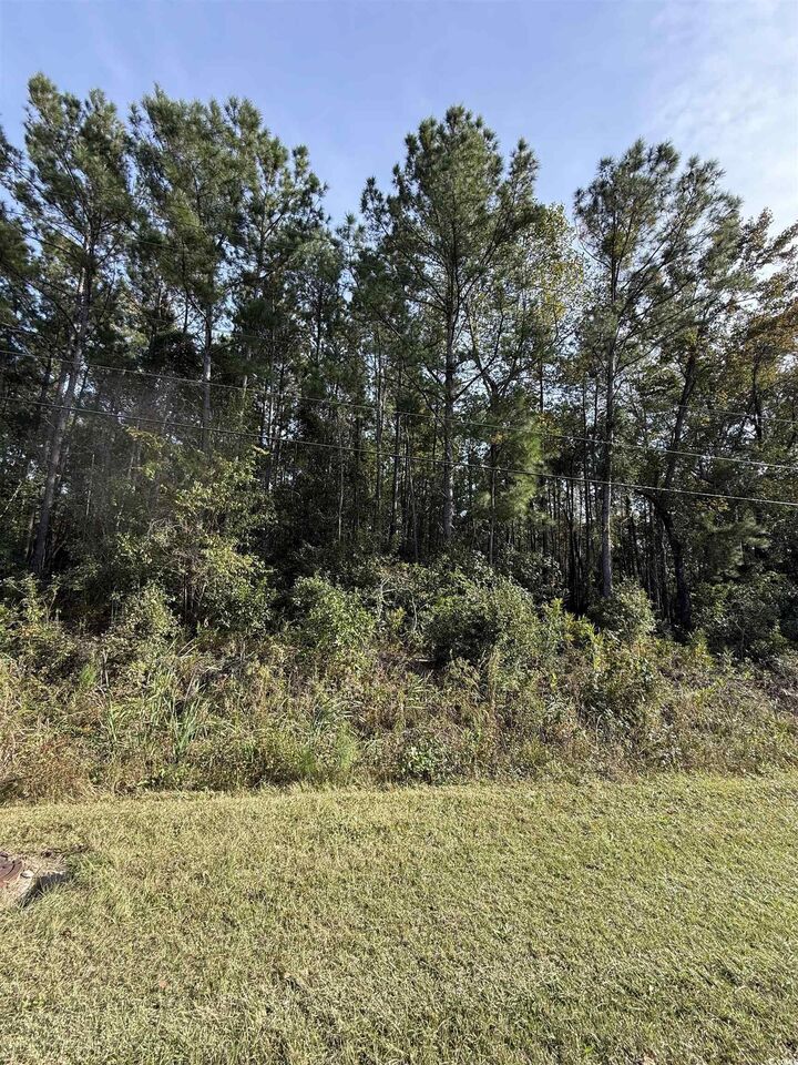 Property Photo:  Tbd Old Charleston Rd.  SC 29440 