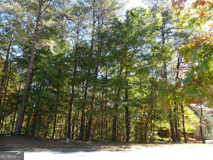 Property Photo:  0 Zeppelin Strasse Lot 78  GA 30545 