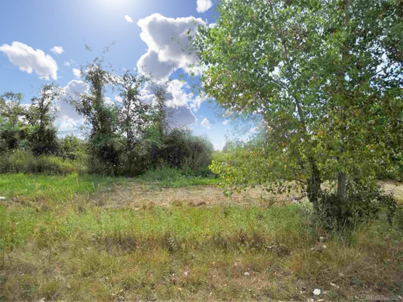 Property Photo:  Parcel 3 Windmill Lane  MI 48444 
