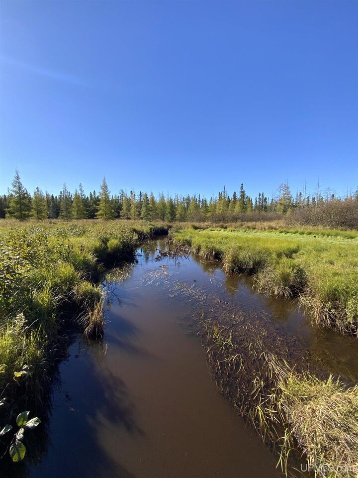 Property Photo:  Tbd Co Rd Ccf Road  MI 49849 