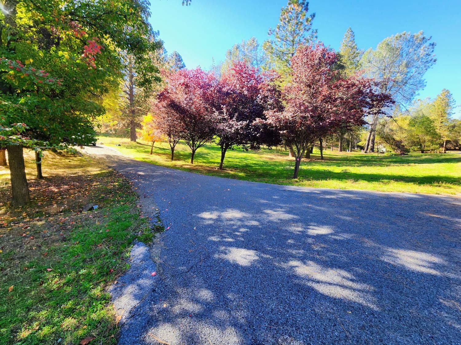 Property Photo:  9461 State Highway 193 27  CA 95667 