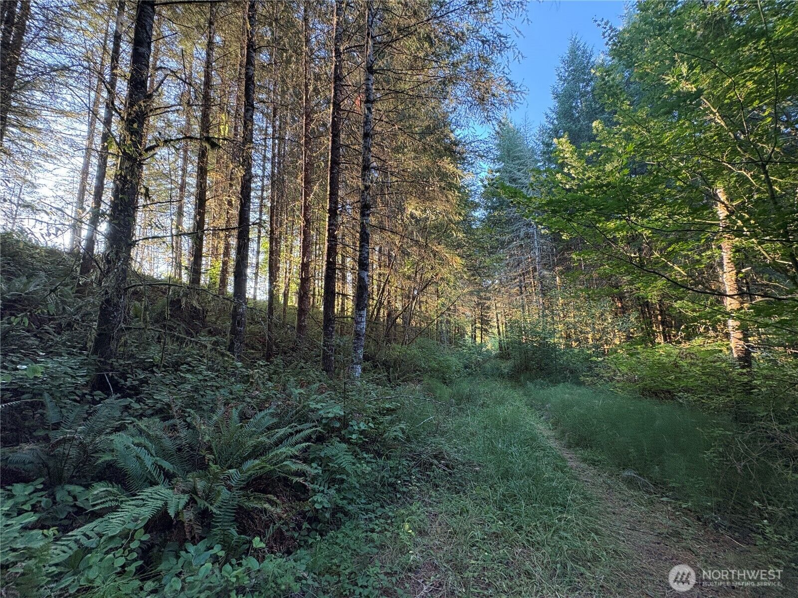 Property Photo:  0 Nka  Frank Smith Road  WA 98649