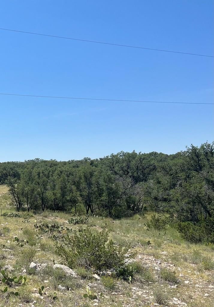 Property Photo:  4120 Majestic Oaks Dr  TX 76935