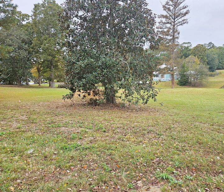 Property Photo:  000 Swift Creek Road  GA 31015 