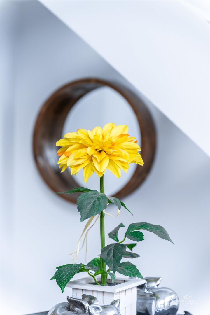 Property Photo:  933 Seymour Street 909  BC V6B 6L6 