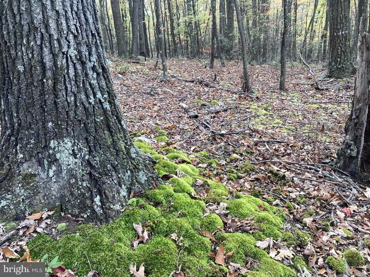 Property Photo: Big Horn Trail WV 26704