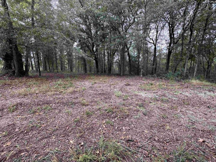 Property Photo:  0 Kelly Day  SC 29123