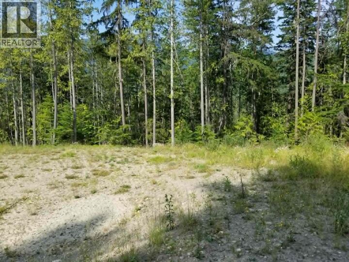 Property Photo:  Lot 1 Brouse Loop Road  BC V0G 1R1 