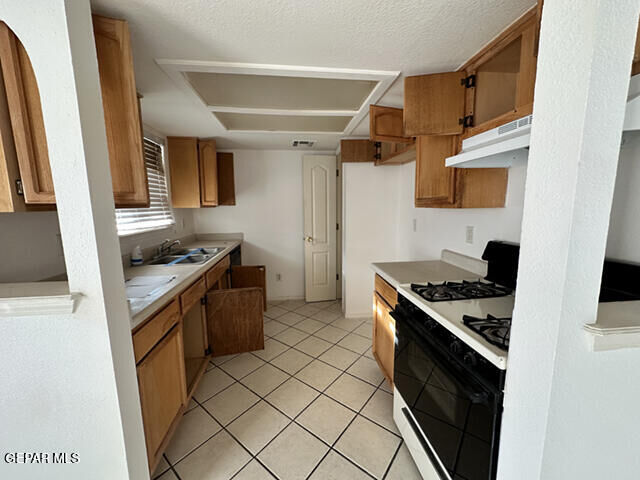 Property Photo:  3264 Mike Godwin Drive  TX 79936