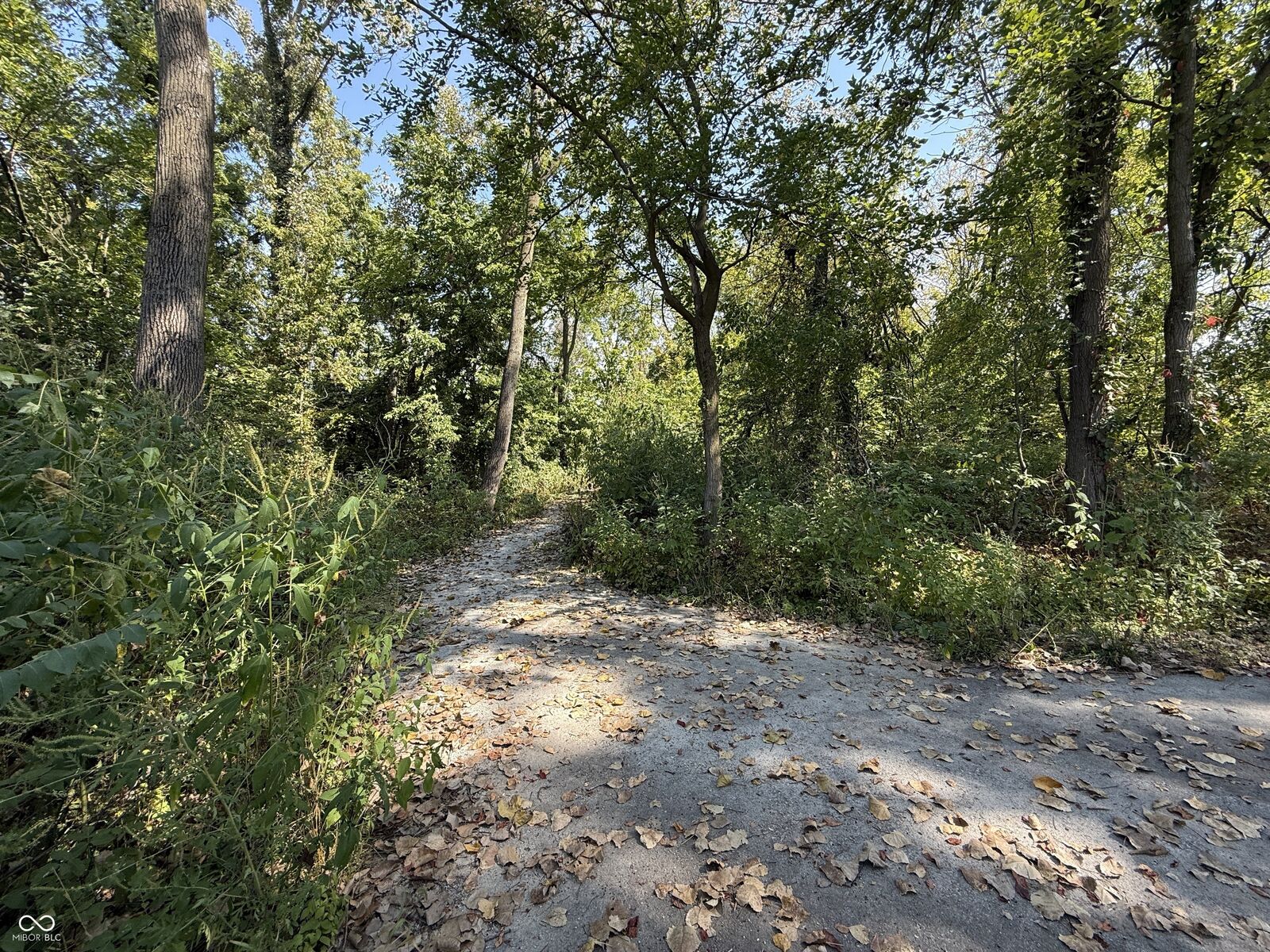 Property Photo:  14350 Hidden Lakes Drive  IN 46060 