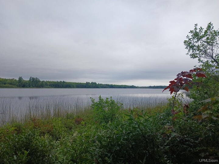 Property Photo:  Parcel 7 Keweenaw Pass Road  MI 49945 