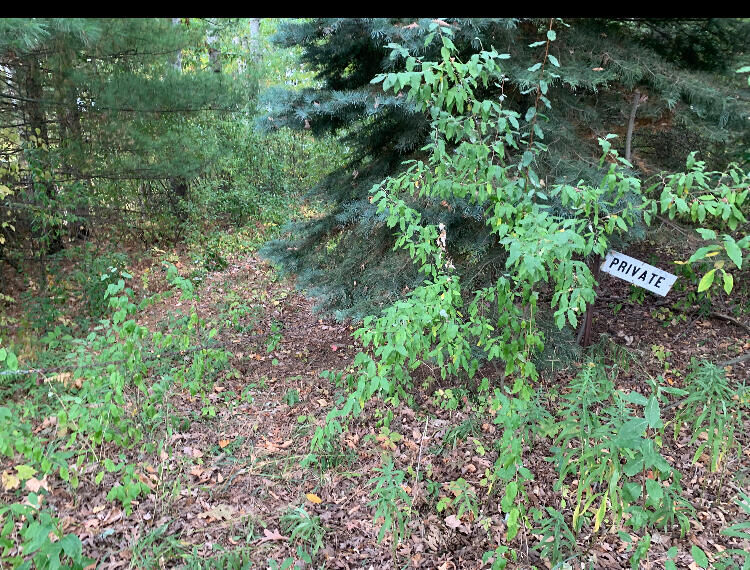 Property Photo:  E Rossel Lake Road  MI 49459 