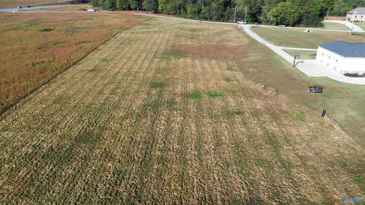 Property Photo:  12122 Pecan Grove Way  AL 35613