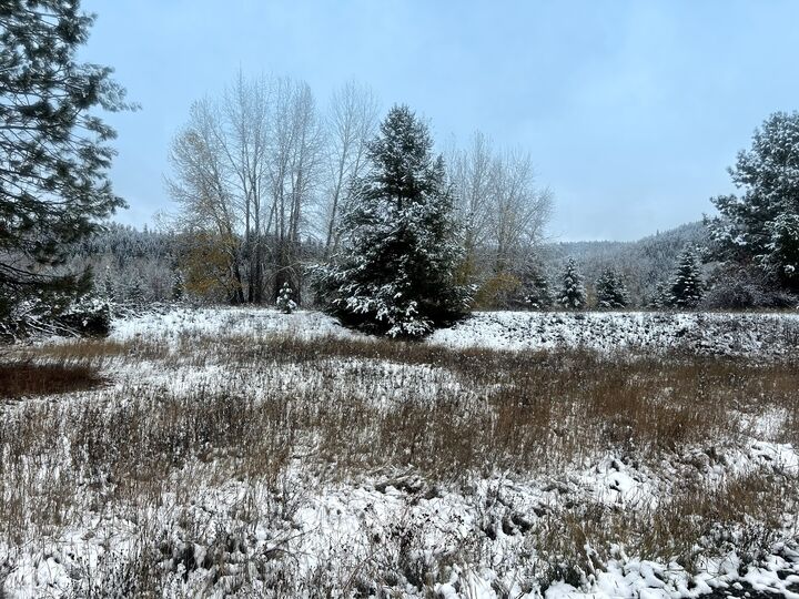 Property Photo:  114 Side Job Lane  MT 59842 