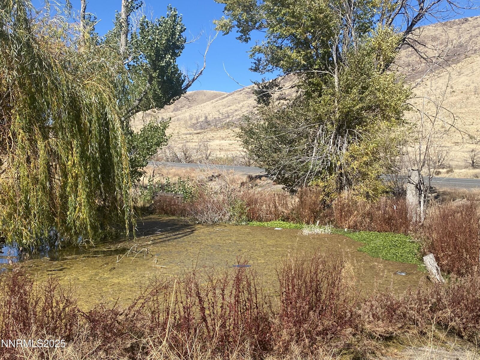 Property Photo:  1155 S US Highway 395  NV 89410 