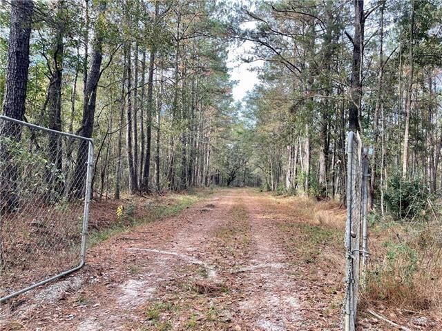 Property Photo: 37285 Dummyline Road LA 70452