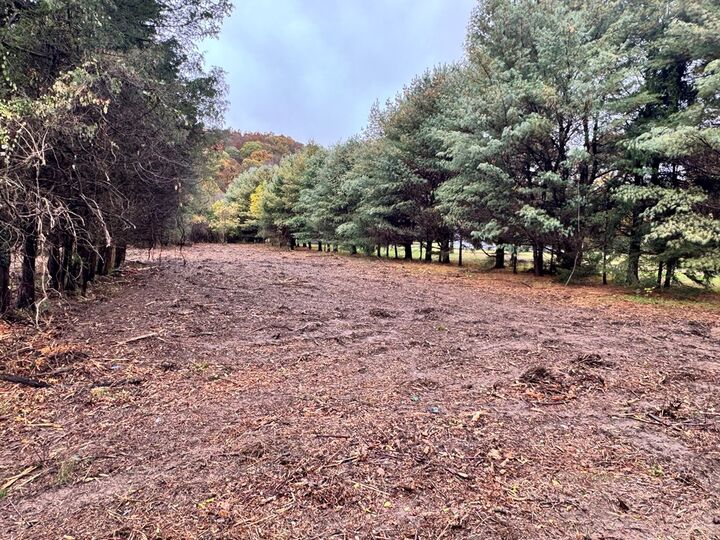 Property Photo: 0 Dry Run Road OH 45601