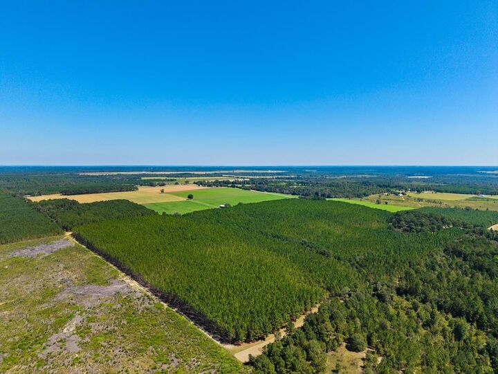 Property Photo:  1901 Joe Wells Road  GA 31803 