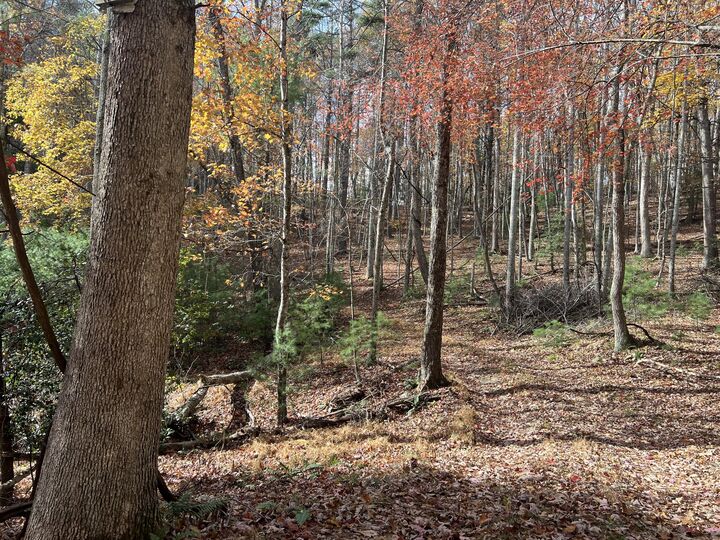 Property Photo:  Hollywood Glace Road  WV 24983