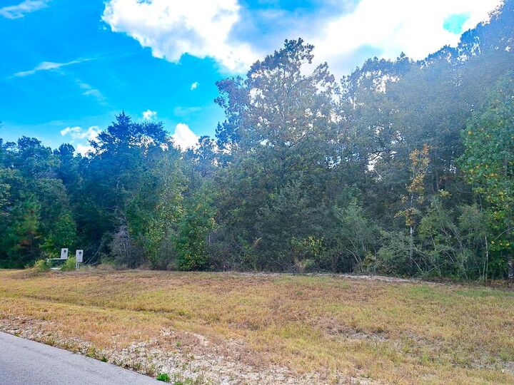 Property Photo:  137 Iron Horse Road  TX 77378 