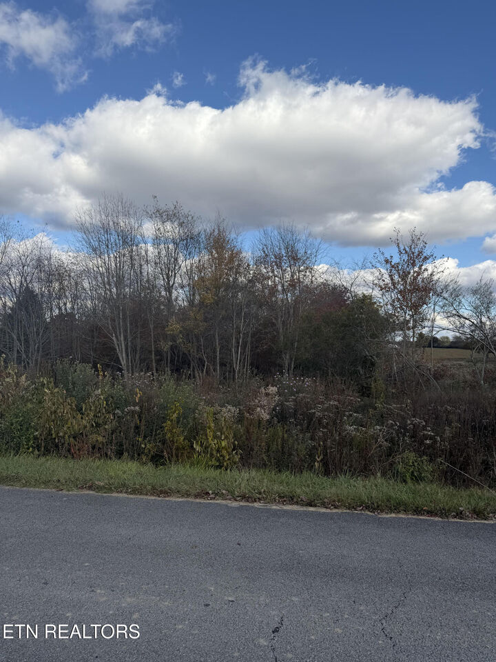 Property Photo:  Woodgate Drive  TN 38558 