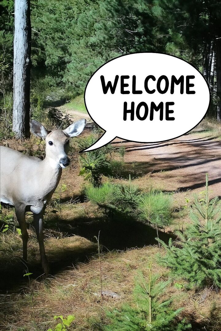 Property Photo:  2536 4th Dr  WI 53936