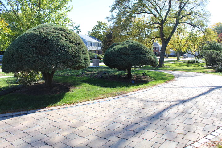 Property Photo:  2290 Cedar Court  IL 60062 