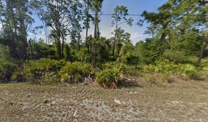 909 Butler Street E  Lehigh Acres FL 33974 photo