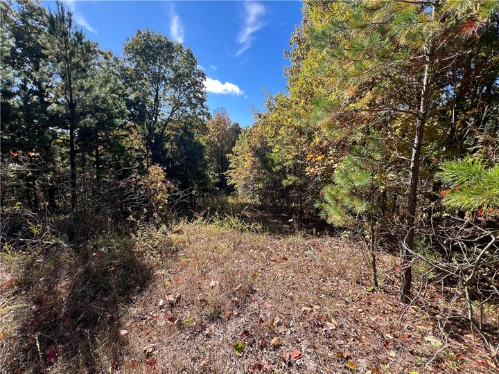 Property Photo: Hwy 254 AR 72645