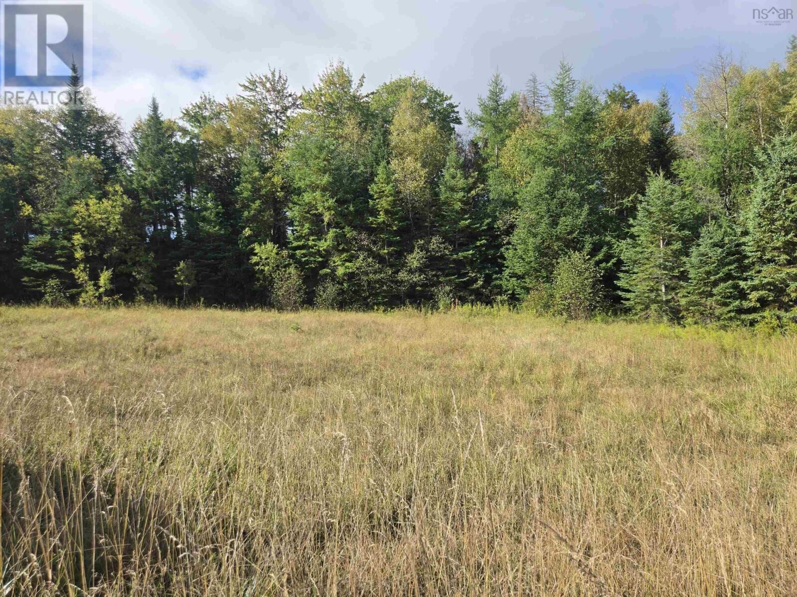 Property Photo:  Lot 8 Highway 368  NS B0K 1Y0 